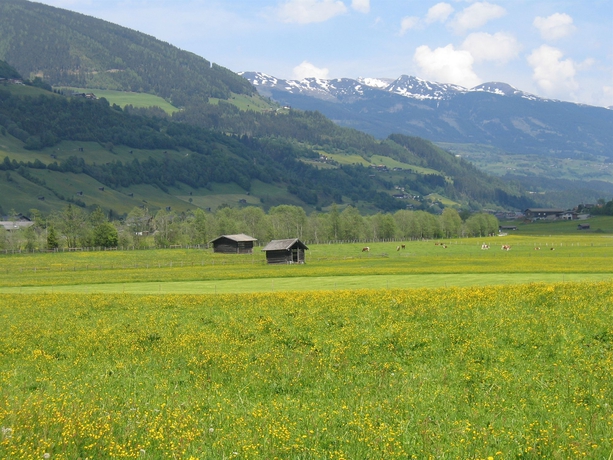 Imagen de los exteriores del Pensión Kristall, BRAMBERG AM WILDKOGEL. Foto 8
