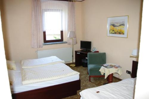 Imagen general del Pensión Landhotel Goldener Löwe. Foto 1