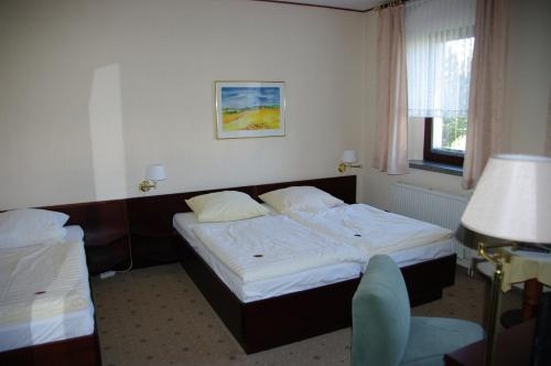 Imagen general del Pensión Landhotel Goldener L&ouml;we Mit Am Taurastein. Foto 7