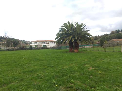 Imagen general del Pensión Las Palmeras, Gijón. Foto 4