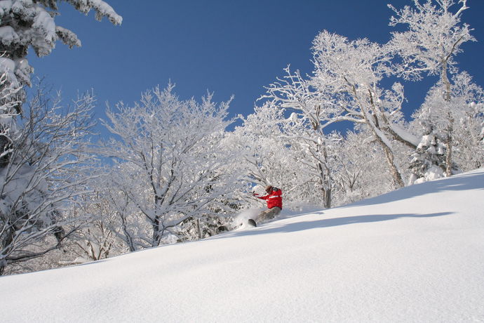 Imagen de los interiores del Pensión Lavender, Furano. Foto 13