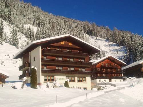 Imagen general del Pensión Ledererhof. Foto 1