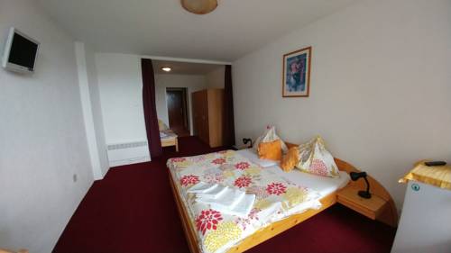 Imagen de la habitación del Pensión Lesn&iacute;, Lipno nad Vltavou . Foto 6