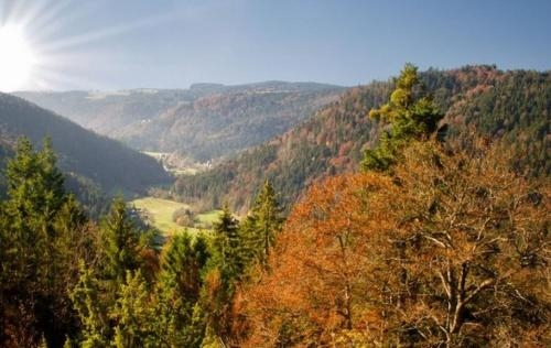 Imagen de la habitación del Pensión Linde, Höchenschwand. Foto 10