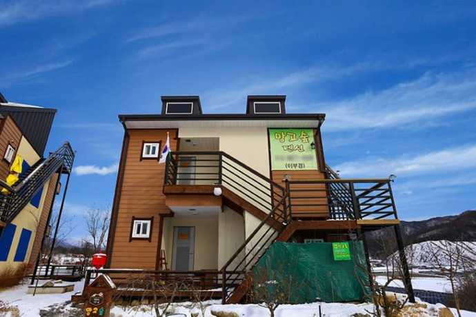 Imagen general del Pensión Mango Forest. Foto 3