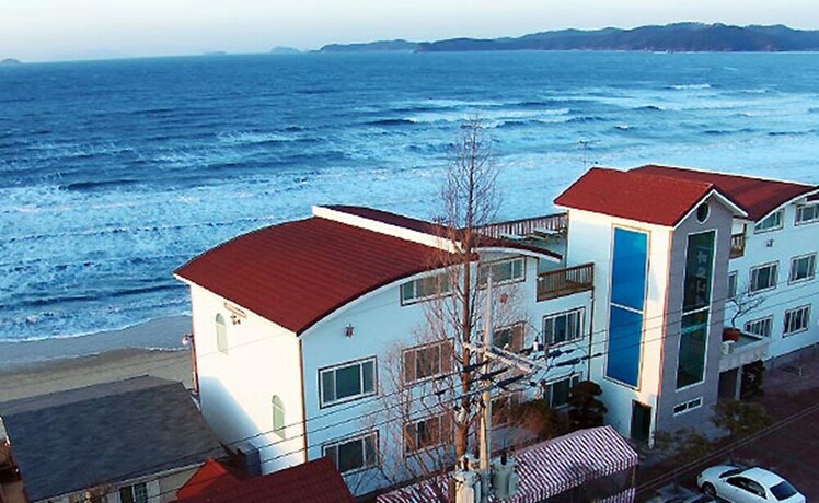 Imagen general del Pensión Marronnier. Foto 3