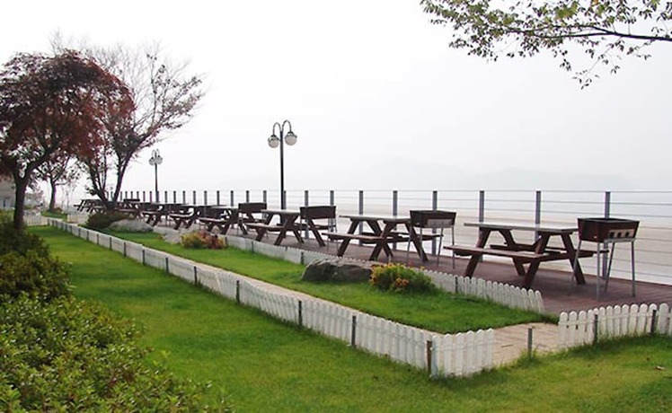 Imagen general del Pensión Marronnier. Foto 7