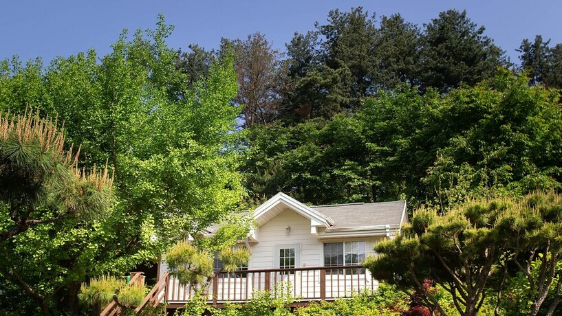 Imagen de la habitación del Pensión Marusan Pension. Foto 16