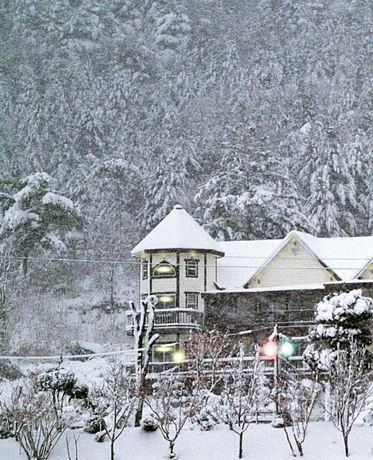 Imagen general del Pensión Muju Cherish. Foto 1