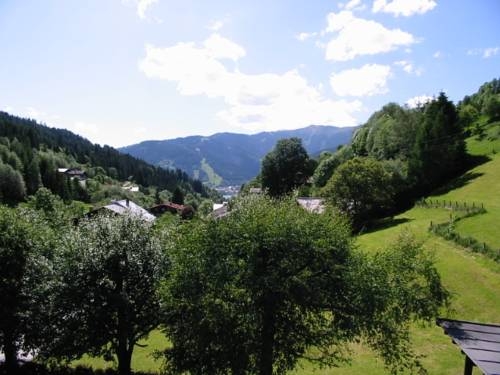 Imagen general del Pensión M&uuml;hle, Zell Am See . Foto 23