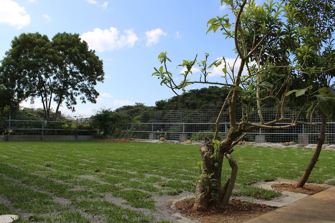 Imagen de los exteriores del Pensión Nakijin Marunakaya. Foto 11