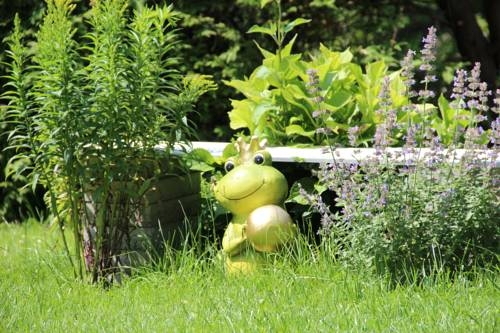 Imagen general del Pensión Nocksteinblick. Foto 10