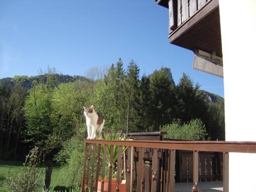 Imagen general del Pensión Nocksteinblick. Foto 32