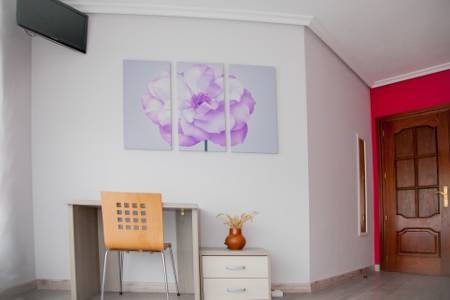 Imagen general del Pensión Parque Del Ebro. Foto 2