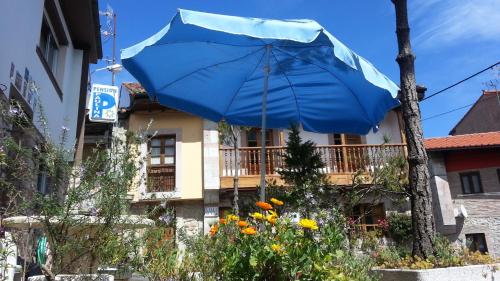 Imagen general del Pensión Paulina. Foto 2