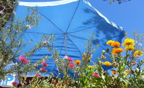 Imagen general del Pensión Paulina. Foto 3