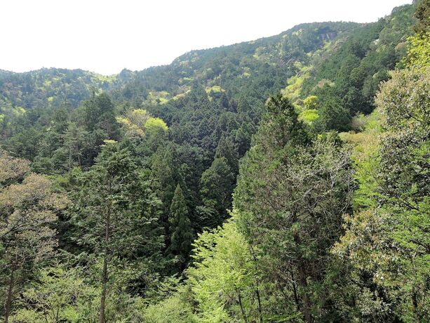 Imagen general del Pensión Pension Aka-tombo. Foto 4