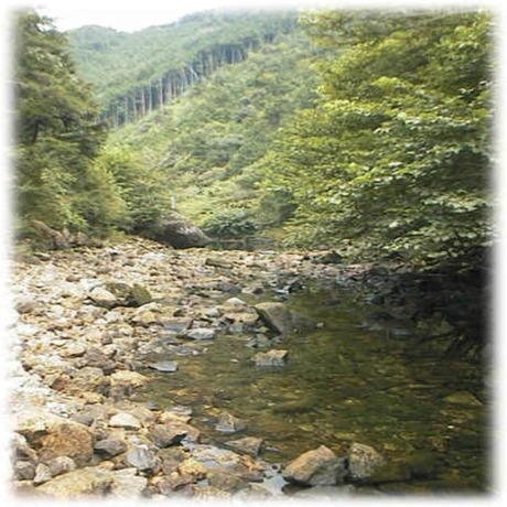 Imagen general del Pensión Pension Aka-tombo. Foto 8