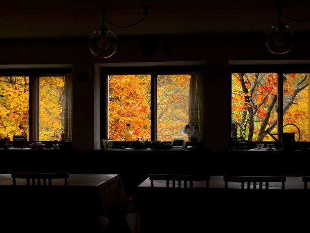 Imagen de los interiores del Pensión Pension Buddy. Foto 12