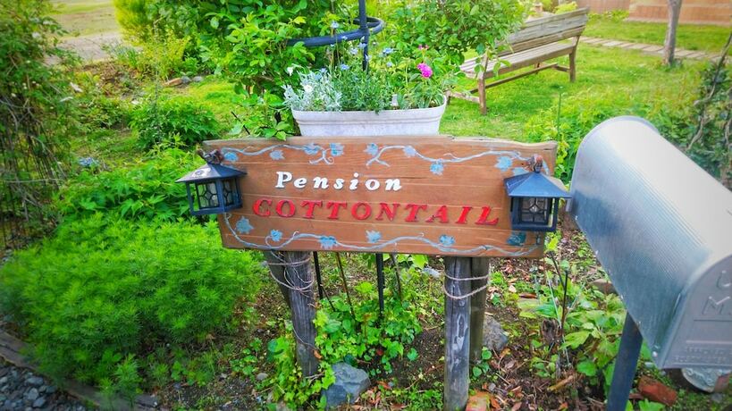 Imagen general del Pensión Pension Cottontail. Foto 5