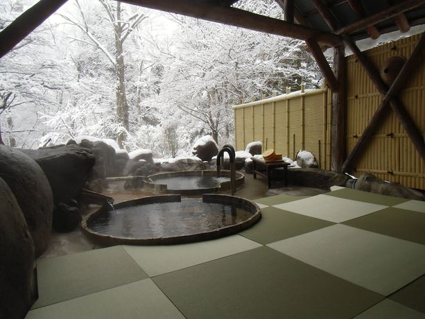 Imagen de la piscina del Pensión Pension Honomi-tei. Foto 18