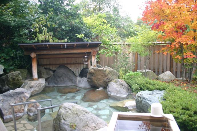 Imagen de la piscina del Pensión Pension Honomi-tei. Foto 19