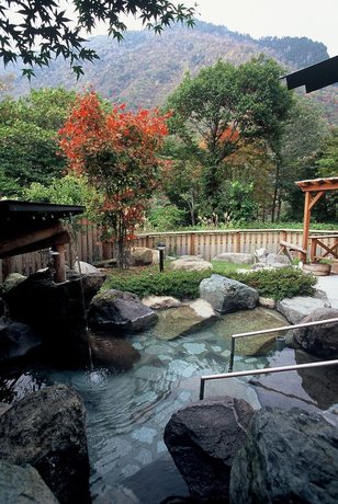Imagen de la piscina del Pensión Pension Honomi-tei. Foto 20