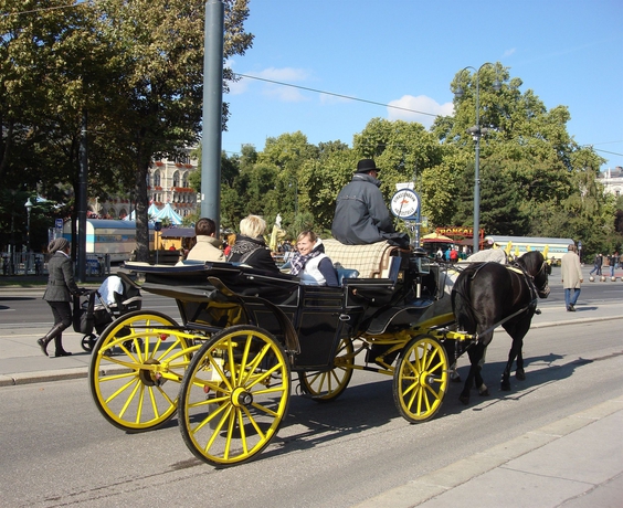 Imagen de los exteriores del Pensión Pension Liechtenstein. Foto 13