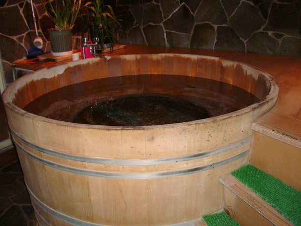 Imagen de la piscina del Pensión Pension Maple Leaf. Foto 20