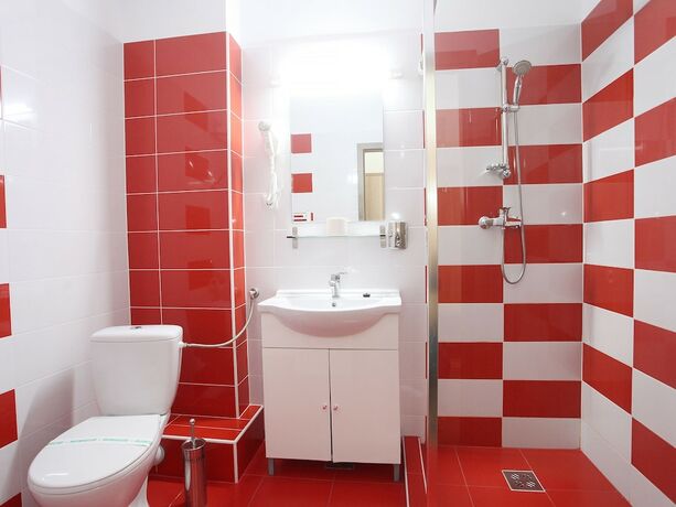 Imagen general del Pensión Pension Mora Cluj Napoca. Foto 1