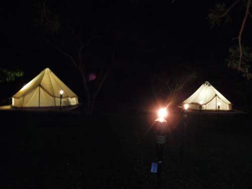 Imagen de la habitación del Pensión Pension Prussian Blue - Campsite. Foto 5