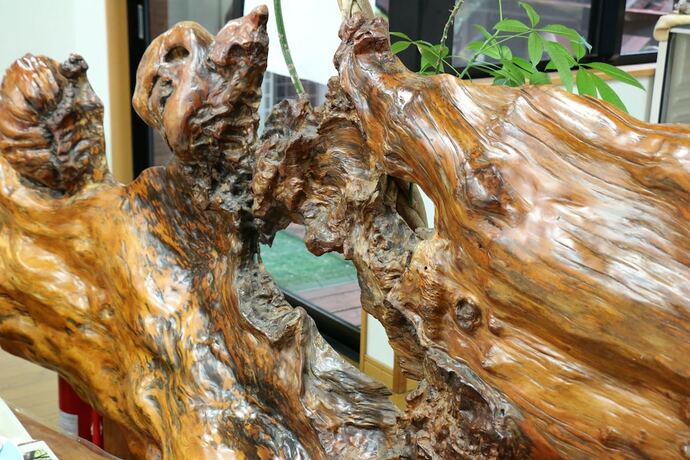 Imagen general del Pensión Pension Sea Forest. Foto 5