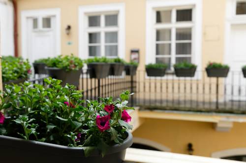 Imagen de los interiores del Pensión Pension U Lilie. Foto 9