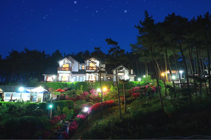 Imagen general del Pensión Petit Maison. Foto 6