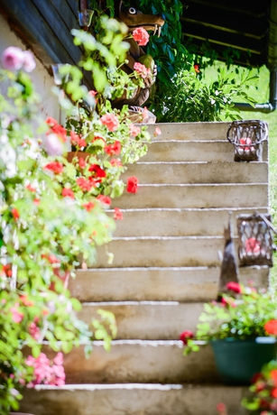 Imagen de los exteriores del Pensión Pinzgauer Hof. Foto 12