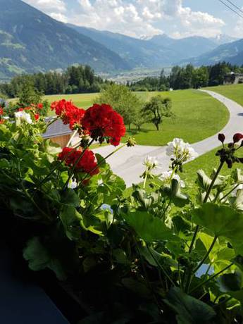 Imagen de la habitación del Pensión Platzer. Foto 9