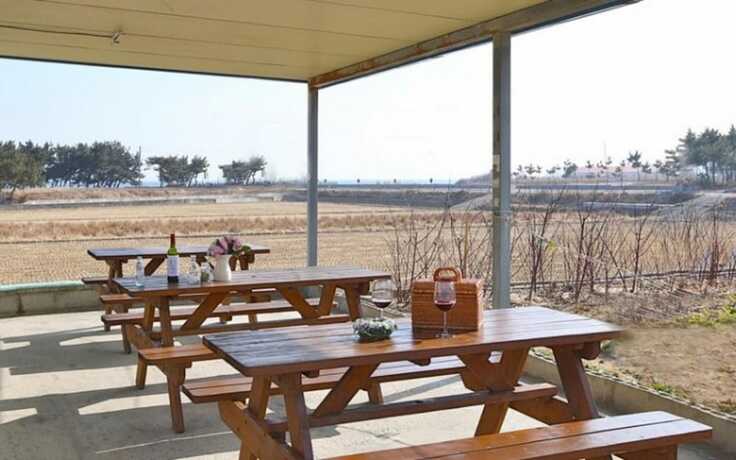 Imagen de la habitación del Pensión Pohang Wolpo Incense Pension. Foto 19