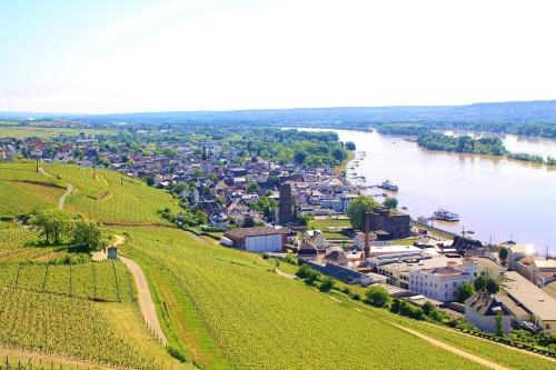 Imagen general del Pensión Post R&uuml;desheim. Foto 5
