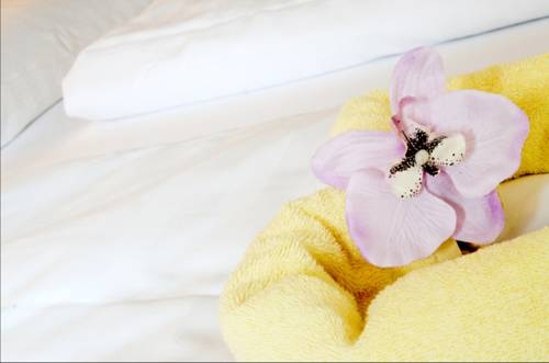 Imagen de los interiores del Pensión Rainer. Foto 5