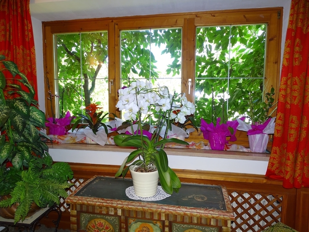 Imagen de los interiores del Pensión Rainhof. Foto 18