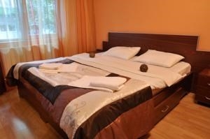 Imagen de la habitación del Pensión Regal, Satu mare. Foto 2