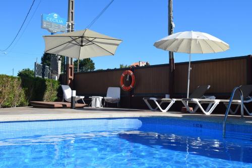 Imagen de la piscina del Pensión Residencia Cecilia. Foto 9