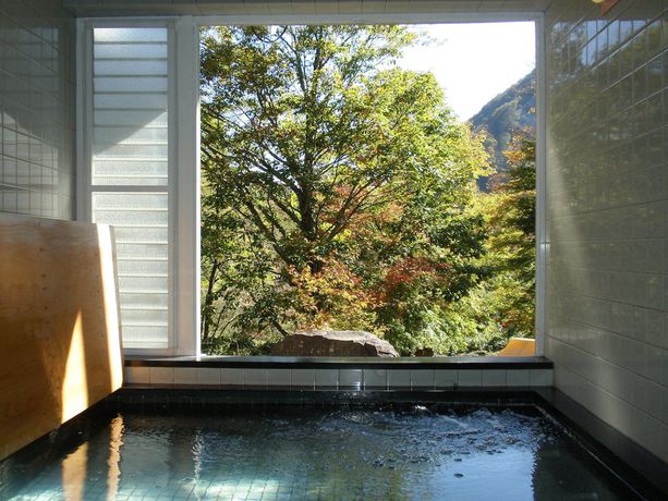 Imagen general del Pensión Resort Pension Shikisai. Foto 7