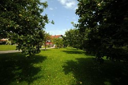 Imagen general del Pensión Riedlhof. Foto 5