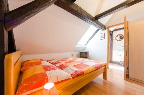 Imagen general del Pensión Rosa, Cesky Krumlov. Foto 1