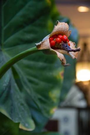 Imagen general del Pensión San Benito Abad. Foto 12