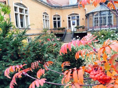 Imagen general del Pensión Sanssouci, Potsdam. Foto 4