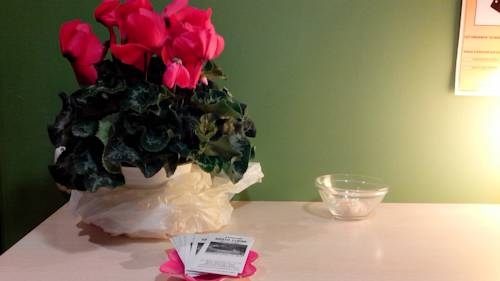 Imagen general del Pensión Santa Clara, San Sebasti&aacute;n. Foto 7