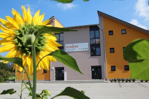 Imagen general del Pensión Sch&auml;fer Boardinghouse. Foto 4