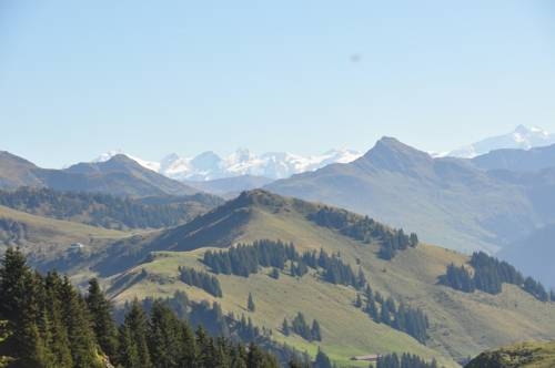 Imagen general del Pensión Schmidinger. Foto 30